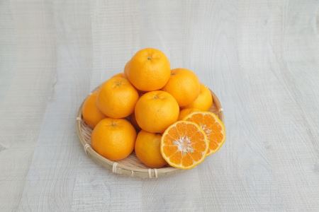 S040-005A_農家の手摘み 太田 ポンカン 5kg〈先行受付〉/ ポンカン ぽんかん 柑橘 みかん フルーツ