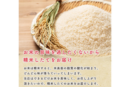 《定期便11ヶ月》令和7年産 【白米】秋田県産 あきたこまち 20kg（5kg×4袋）