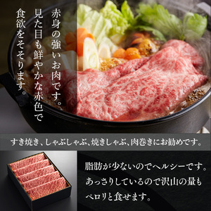 和牛【共通返礼品】やまぐち和牛燦 ももスライス 500g BH0201