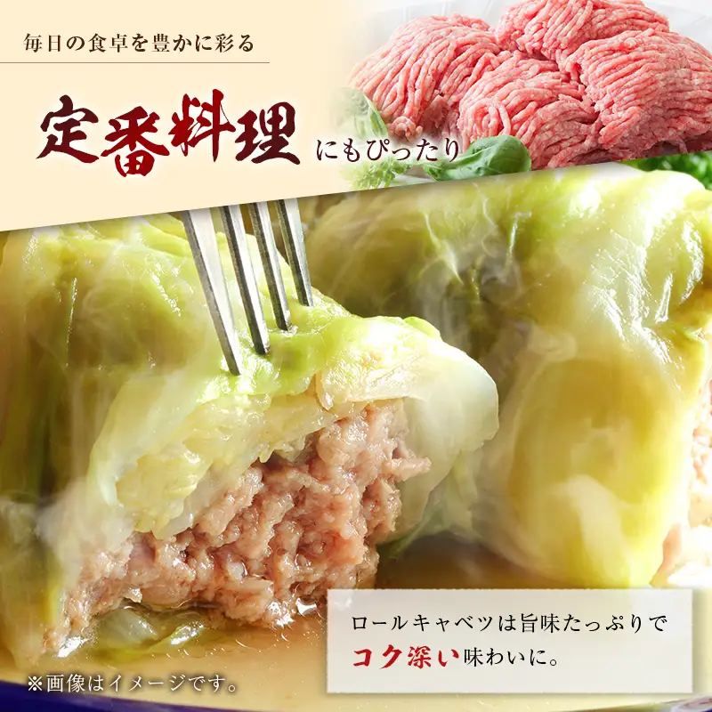 宮崎県産ポーク ひき肉 セット 計1.5kg（250g×6パック） 国産 豚肉 ミンチ 挽き肉 小分け