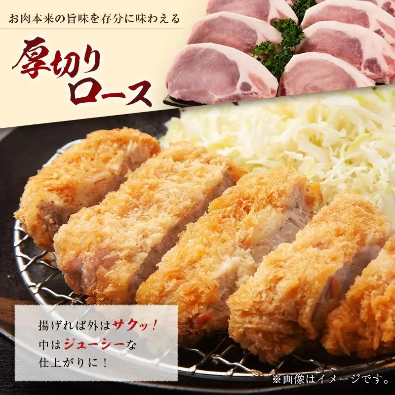 産地直送 宮崎県産 ひなた宮崎 ホエー豚 厚切りロース とんかつ用 計1kg（200g×5枚） 国産 豚肉