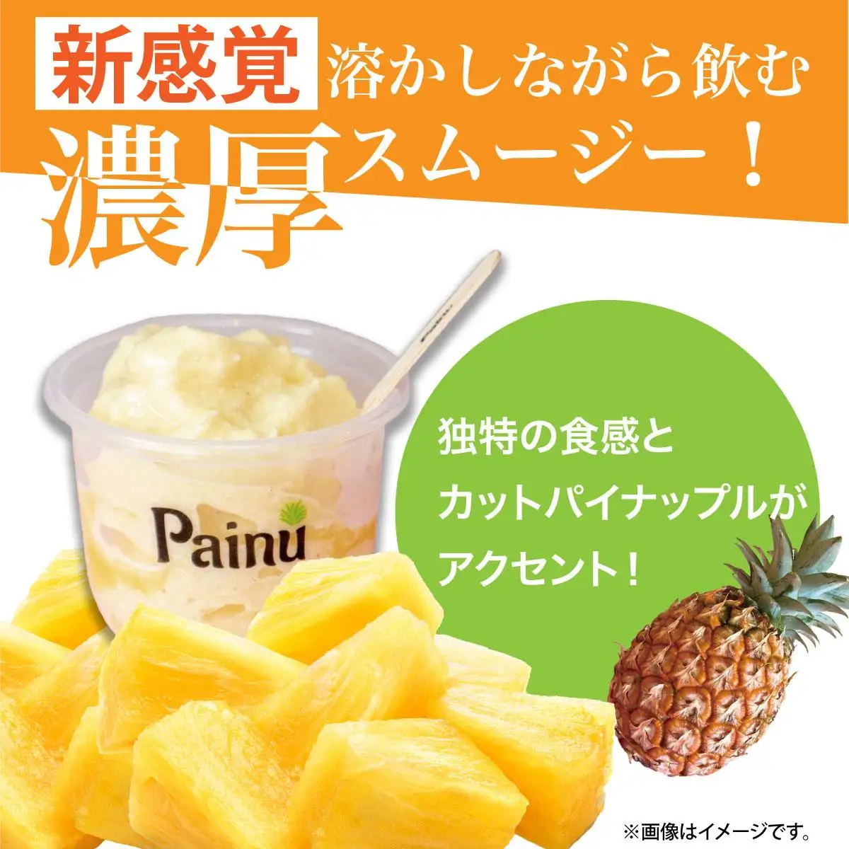 石垣島産パイナップル新食感贅沢スムージーギフト【3個セット】