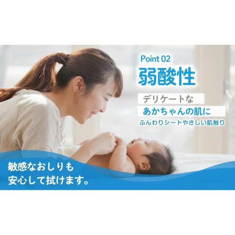 水99.9% あかちゃんのおしりふき（80枚×3P）×5セット 計15個 ディズニープリンセス ディスニー おしりふき シート お尻ふき 新生児 赤ちゃん ベビー 日本製 さらさら 水に近い まとめ買い 裾野市 静岡県