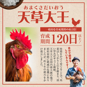 S081-002A_天草大王炭火焼 360g(120ｇ×3袋)  /地鶏 鶏肉 肉 鶏 炭火焼