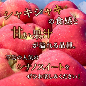 りんご 【12月・1月発送】 糖度13度以上 訳あり品 家庭用 シナノスイート 約5kg【 青森りんご 】