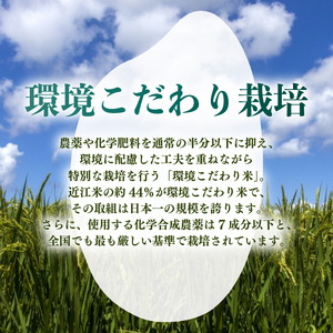 【令和7年産】減農薬米 近江米 きらみずき 白米 5kg ［ishidera01]  白米