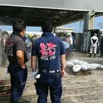 目鉢鮪頭 の 希少部位 刺身用 ＋ 目鉢鮪カマ 1kg M007-004 冷凍 マグロ