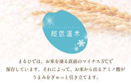 令和7年産 愛媛県産 にこまる 10kg