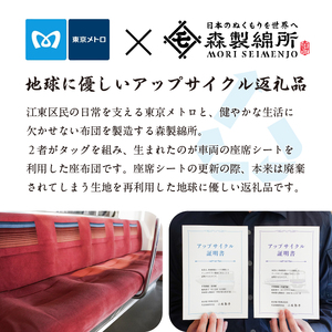 おうちでゆるっとメトロ（120×45cm・半蔵門線：紫色）【kt031-010-1】