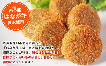 ＜はなが牛コロッケ 計15個＞ 5個入り オリジナル おつまみ お肉 牛肉 はなが牛 国産 ころっけ 肉加工品 冷凍食品 牛肉コロッケ 揚げ物 惣菜 お弁当 おかず 晩御飯 夕食 特産品 ゆうぼく 愛媛県 西予市 【冷凍】『1か月以内に順次出荷』 UYB0031