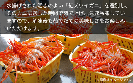 【先行予約】【12月発送】【数量・期間限定】福井県産 越前 紅ズワイガニ ×2杯【急速冷凍】（プロトン凍結）
