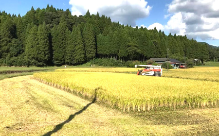 【令和7年産】えびの産 選べる ヒノヒカリ 米 やまのおこめ 5kg 玄米 お米 国産 宮崎県 九州 ひのひかり 送料無料 おにぎり こめ コメ