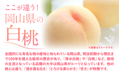 【2027年発送】 桃 岡山の桃 約2kg