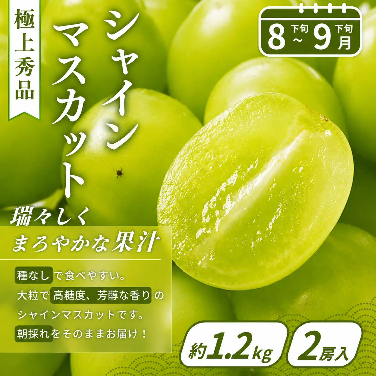 【フルーツ定期便・全4回】品質に自信あり！くしがきの里から直送　桃・シャインマスカット・はれひめ・まりひめを季節ごとにお届け♪ / 定期便 桃 もも みかん 柑橘 シャインマスカット マスカット いちご イチゴ 苺 果物 フルーツ 4回【BK-kgr038】