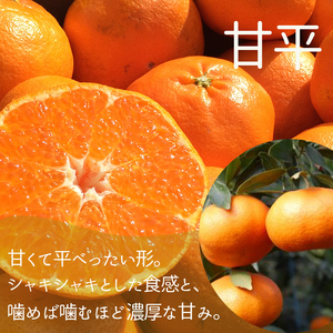 【2026年12月上旬頃から順次発送】【定期便 全3回】旬の愛媛三大高級柑橘 家庭用 【愛果28号 せとか 甘平】約2.5kg | 柑橘 みかん 果物 あいか 紅まどんな と同品種 くだもの フルーツ おすすめ 高級 人気 お取り寄せ グルメ ギフト 期間限定 数量限定 ご当地 愛媛県 松山市【SU013】