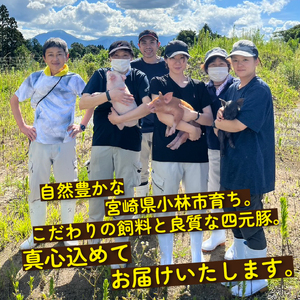 【地元ブランド豚】めぶ～豚 角切り 4.4kg（豚肉 豚 お肉 肉 角切り 煮物 酢豚 真空 小分け）