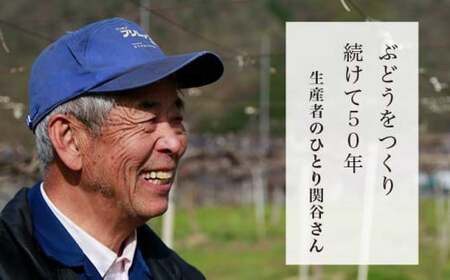 シャインマスカット 約1.1kg 2房 ［小布施屋］2026年発送 令和8年産 【2026年9月下旬～10月上旬に発送】[A-8a]