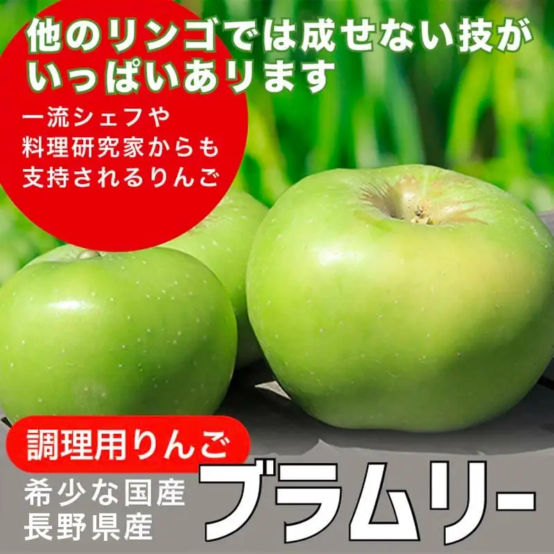 【訳あり】 クッキングアップル ブラムリー 約5kg 12～18玉 ［小布施屋］ 傷 キズ 不揃い 規格外 家庭用 令和8年産  【2026年8月下旬～10月発送】  ［A-47］