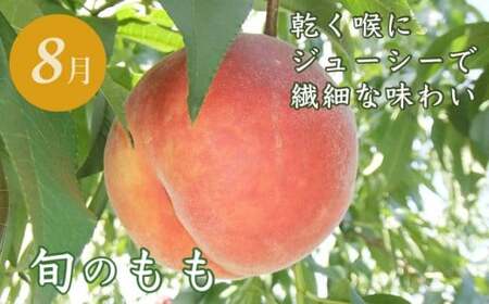 【6回定期便】小布施屋のフルーツ定期便 6ヵ月コース ［小布施屋］ 定期便 頒布会 フルーツ 果物 令和8年産 【2026年7月～12月発送】 ［J-3］