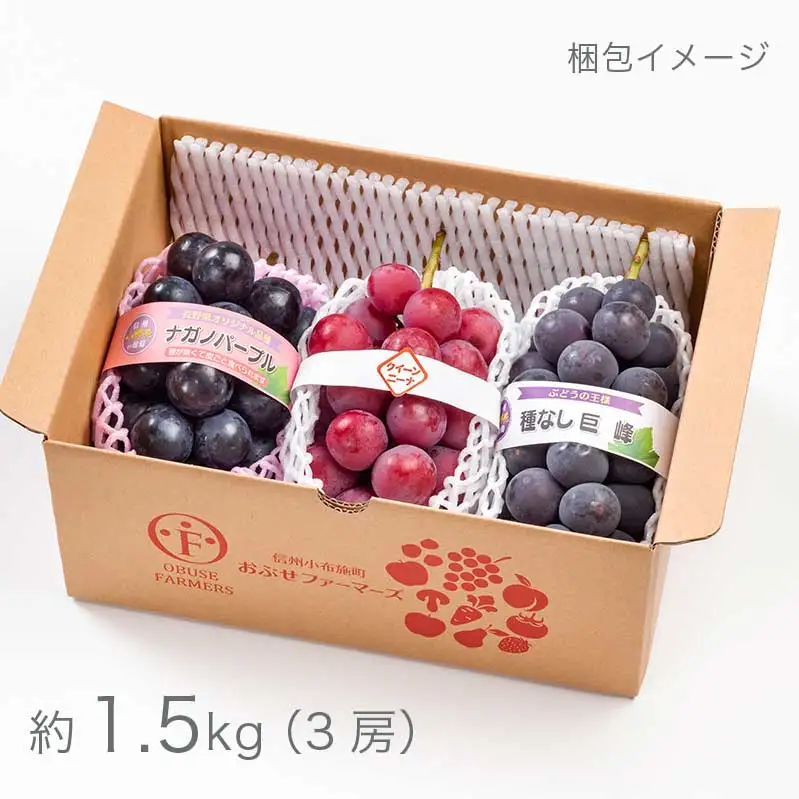 長野県産 旬のぶどう3種セット 種無し巨峰 ナガノパープル 赤系ぶどう 各1房 約1.5kg ［おぶせファーマーズ］ 詰め合わせ 詰合せ 食べ比べ 果物 フルーツ ぶどう 葡萄 クール便 冷蔵便 令和8年産 【2026年9月中旬～10月上旬発送】 ［F-531］
