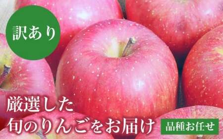 ［訳あり］  旬のりんご 約3kg 6～12玉 ［小布施屋］ 傷 規格外 不揃い 訳アリ 家庭用 りんご 林檎 リンゴ 果物 フルーツ 長野県産 信州産 特産 産地直送 産直 数量限定 先行予約 令和8年度産 【2026年11月配送】［A-304b］