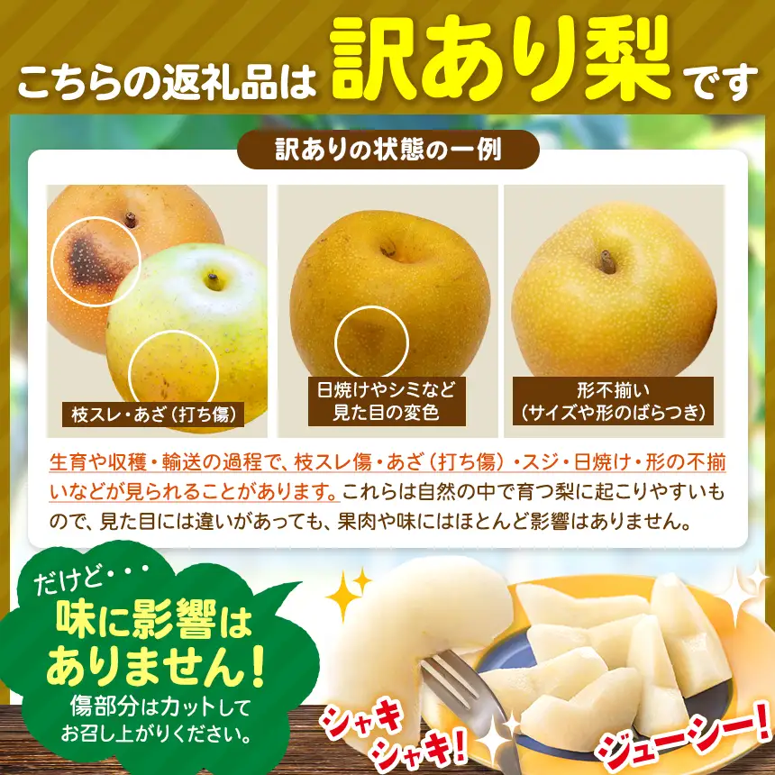 先行受付【訳あり】南水 約3kg 2026年9月中旬～10月中旬発送 家庭用［新規就農者応援コース 幸作会］［K-41］