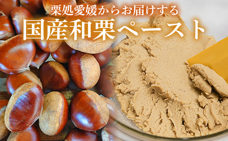 ＜和栗ペースト 1mmタイプ（加糖）約1kg＞ 栗 くり 城川和栗 モンブラン 栗きんとん かき氷 トッピング 国産 スイーツ おやつ お菓子 手作り 栗スイーツ お菓子作り 城川ファクトリー 愛媛県 西予市【冷凍】『最短10営業日以内に順次出荷予定』 SSF0033