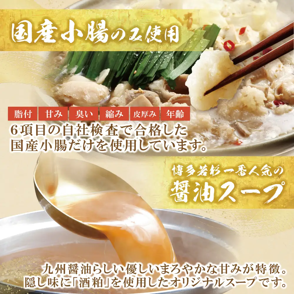 Z61-01 博多若杉【訳あり】牛もつ鍋セット(2人前×5) 10人前 もつ鍋