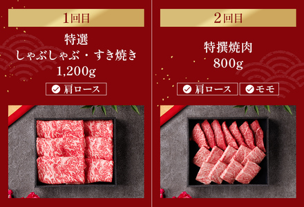【和牛セレブ】近江牛 定期便「ファーストクラス」（定期便6回）