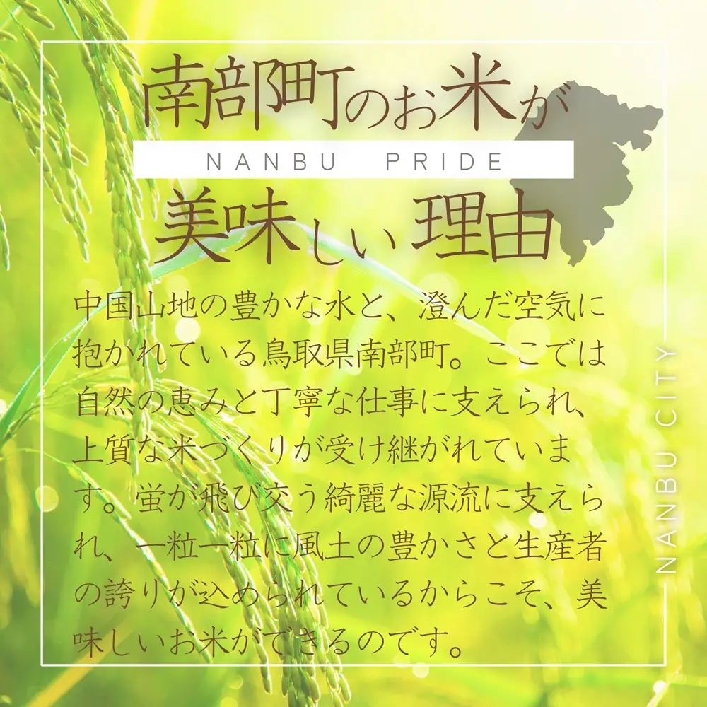 ＜令和8年産予約＞鳥取県南部町産 きぬむすめ 5kg 米 お米 こめ おこめ コメ 白米 精米 なんぶ里山デザイン機構