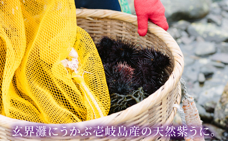 天然紫うに！生うに３本セット計 180g《壱岐市》【壱岐水産】のし プレゼント ギフト 冷凍配送[JBR026]