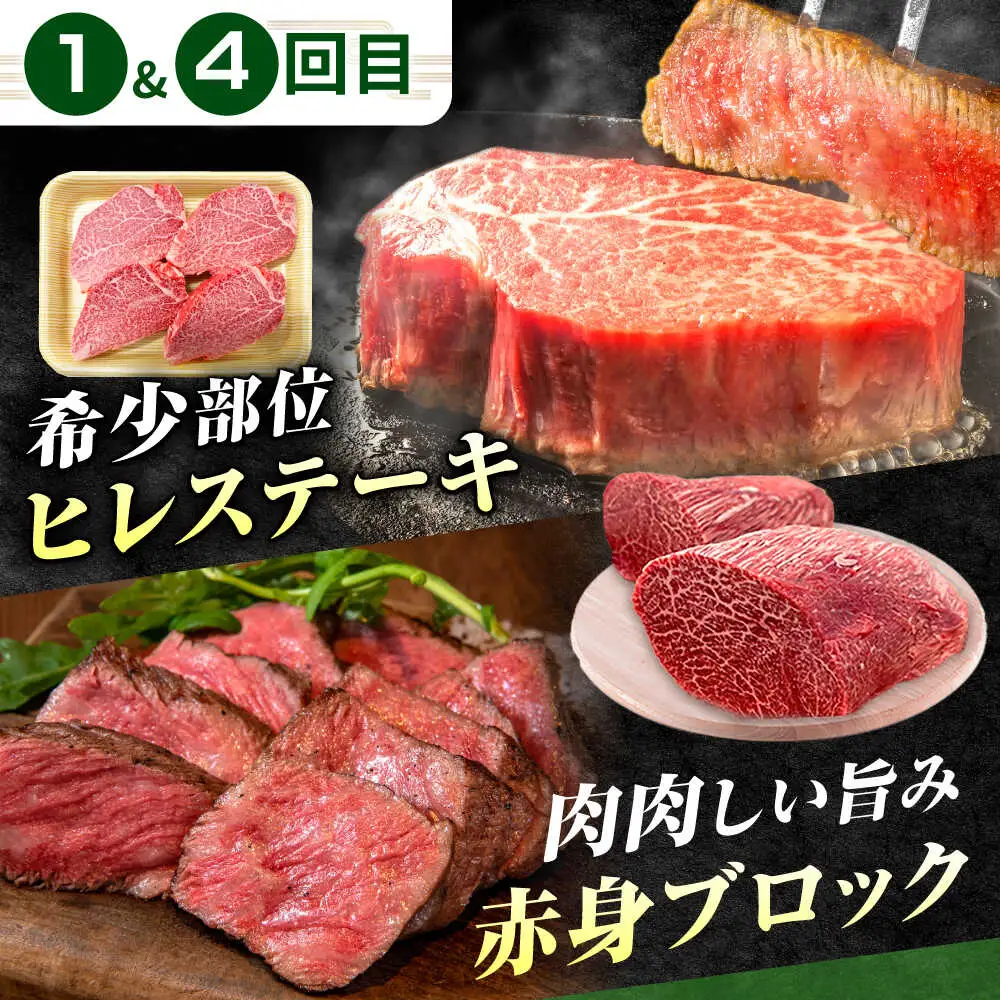 【6回定期便】肉のキング 飛騨牛満喫セット / 飛騨牛 サーロイン ステーキ 肉 詰め合わせ セット 岐阜県 / 御嵩町 / 肉のキング[AVAG020]