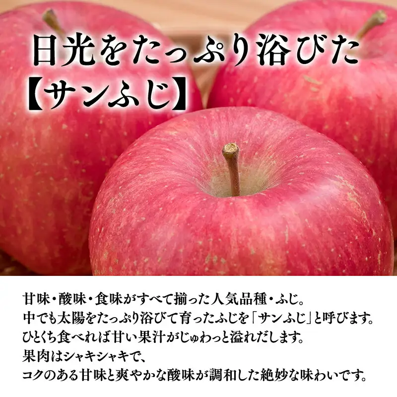 りんご サンふじ 家庭用 約3kg クール便 りんご