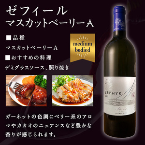 ＜受賞ワイン＞了美ワイン3本セット 750ml×3本 赤ワイン メルロー マスカットベーリーA ブラッククイーン アルコール ワインセット みらいファームやまと【了美ワイナリー】ta576