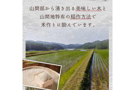 【令和8年】コシヒカリ 玄米 30kg コシヒカリ 京丹後市