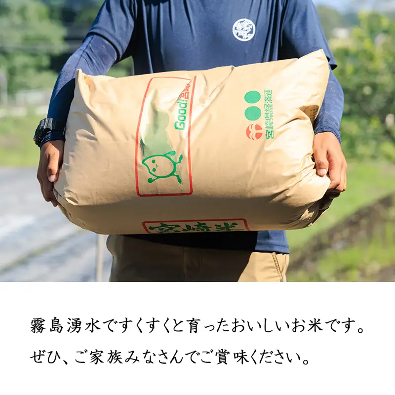 【令和8年産】宮崎県高原町産 ひのひかり白米 定期便5kg×3ヶ月（計15kg） TF00855-P00079