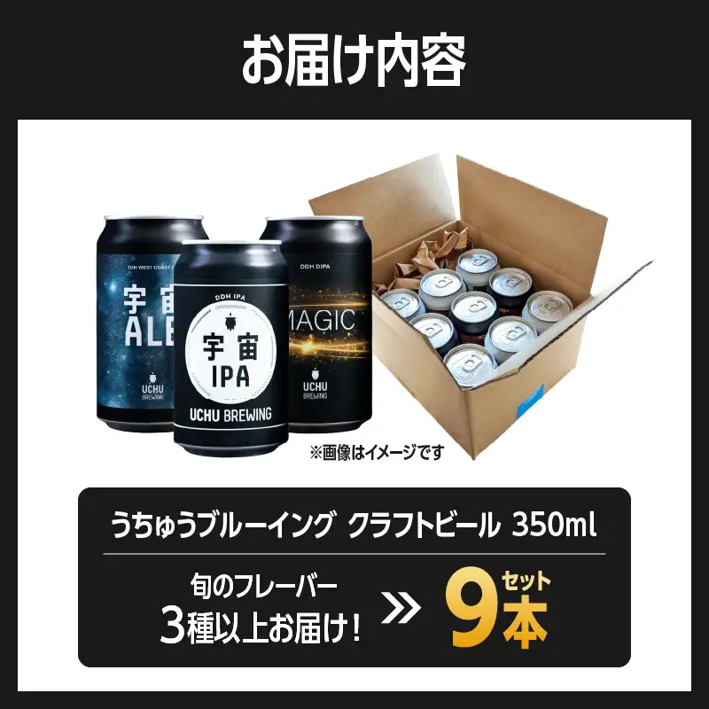 うちゅうブルーイング クラフトビール 9本 クラフトビール [h131]