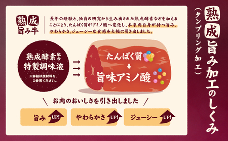 【ハラミ】 牛ハラミ ブロック 3kg タンブリング加工 【NGB004】