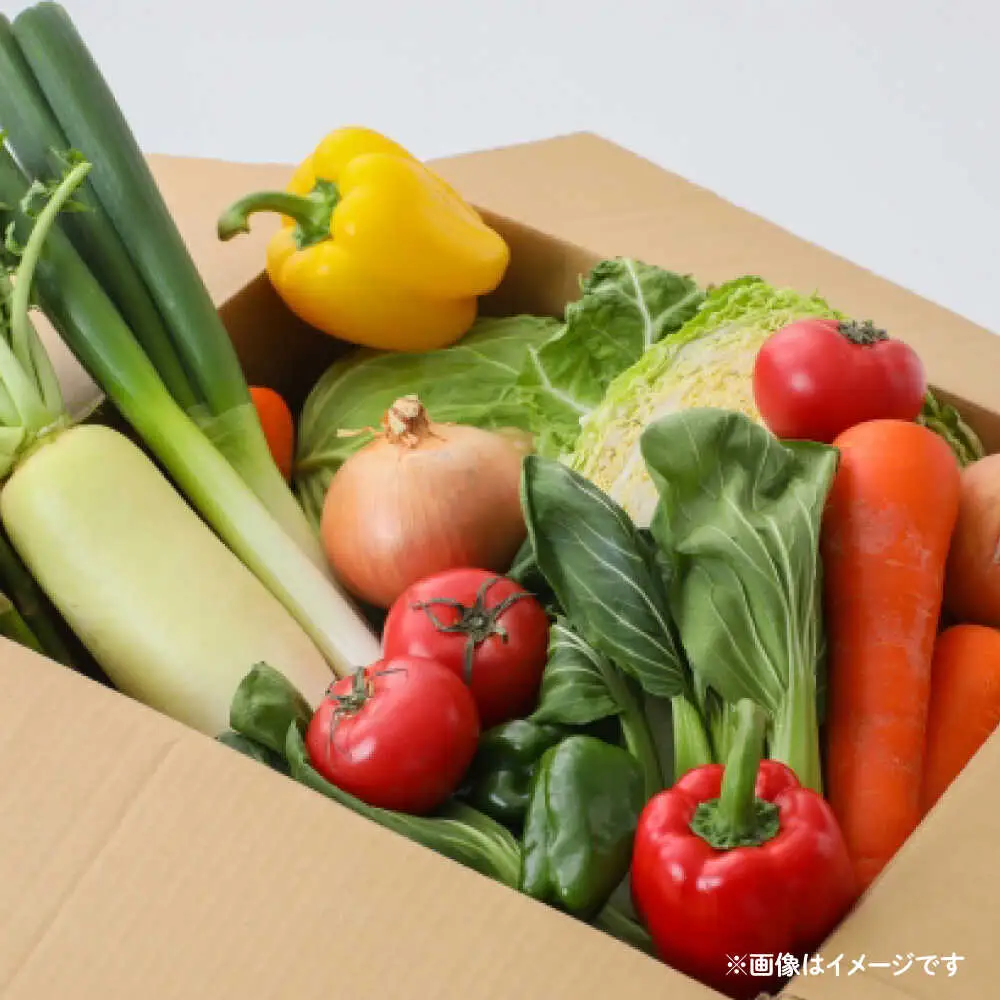 【3回定期便】野菜のプロが選ぶ 旬の野菜セット 12-13品目 野菜定期便 / 野菜 やさい セット 新鮮 / 南島原市 / 愛2農園[SGG004]