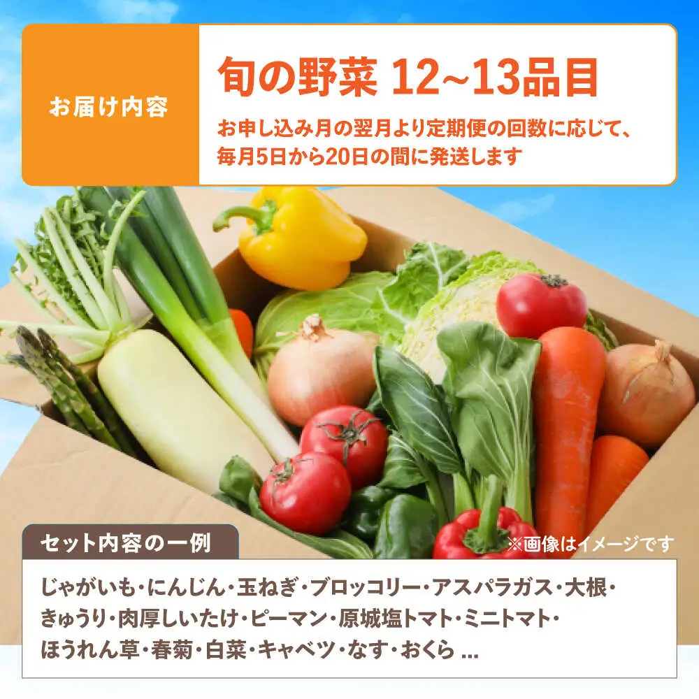 野菜のプロが選ぶ 旬の野菜セット 12?13品目 野菜定期便 / 野菜 やさい セット 新鮮 / 南島原市 / 愛2農園[SGG005]