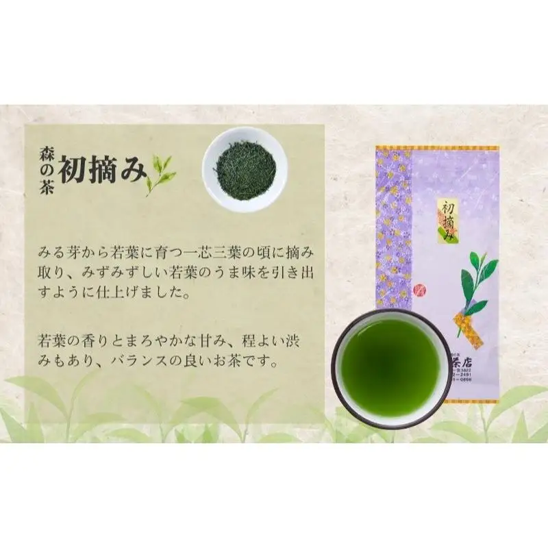 お茶 森の茶 初摘み たっぷり10袋 煎茶 お茶