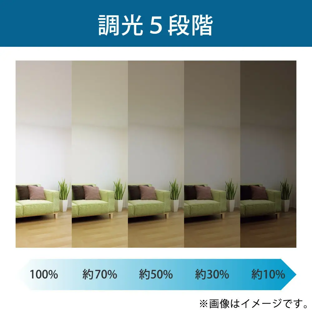 ホタルクス LEDシーリングライト（～8畳） HLDZ08403SG (176671-40037585)