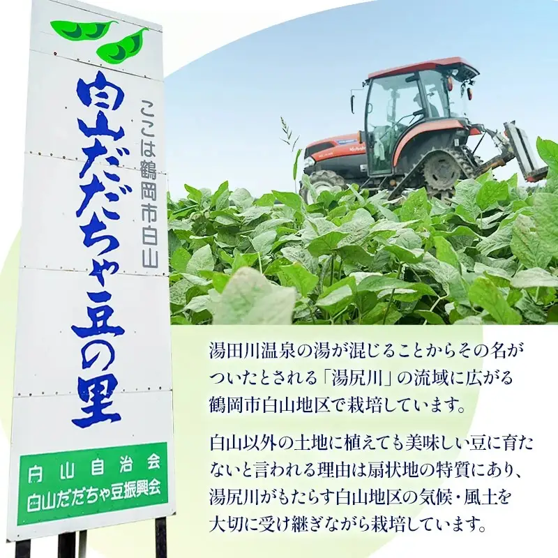 【令和8年産先行予約】【訳あり】白山だだちゃ豆　3kg（1kg × 3袋）　長五郎