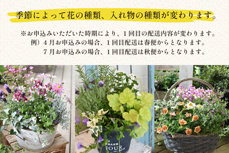 【定期便3回】季節の寄せ植え（ガーデニング ギフト寄せ植え 贈答用寄せ植え 母の日 誕生日 記念 定期便）