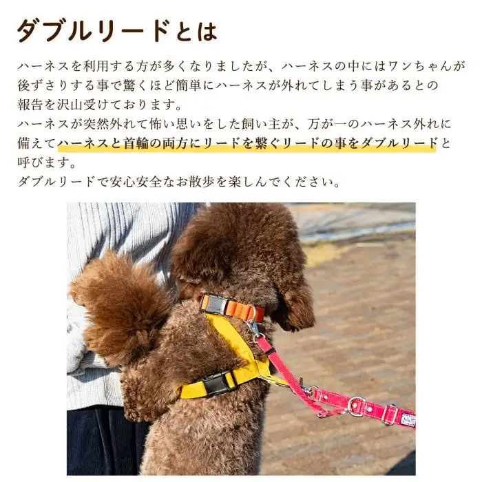 手持ちリード大型犬用 すっぽ抜け防止 ダブルリード ねじれ防止 170g | 犬用 犬リード 二重リード お散歩 安心設計 すっぽ抜け防止 逸走防止 外れない 日本製 ペットグッズ ペット用品 おしゃれ 可愛い プレゼント 贈り物 てるべる 埼玉県 越谷市