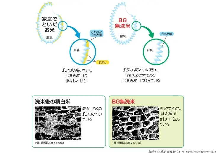 BG無洗米コシヒカリ 5kg×3ヵ月 定期便 [毎月] 令和7年産 愛を米 時短 BG 無洗米 こしひかり 島根県産 新生活応援 お試し 節水 アウトドア キャンプ 東洋ライス  【価格改定X】【45-SS-63】
