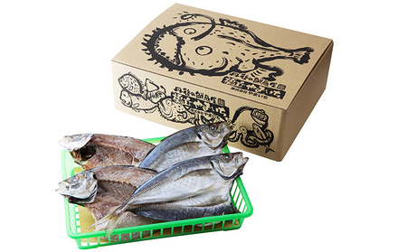 大きな大きなアジ一夜干し (大：35cm程) 魚貝類 魚 一夜干し あじ アジ 鯵 大きめ 肴 海鮮 干物 ひもの セット 日本酒  myz02 myz11 myz17