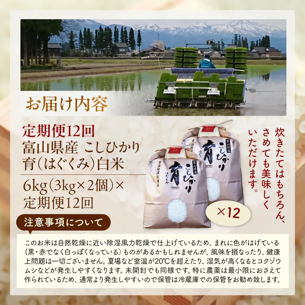 【令和7年産】定期便・12回  富山県産こしひかり 　育（はぐくみ）  白米３kg×２袋《南砺の逸品》