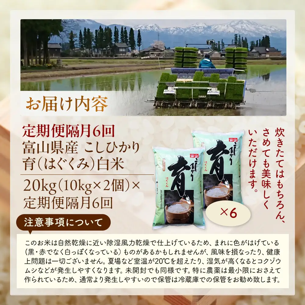 【令和7年産】定期便・隔月６回  富山県産こしひかり 育（はぐくみ）白米１０kg×２袋《南砺の逸品》