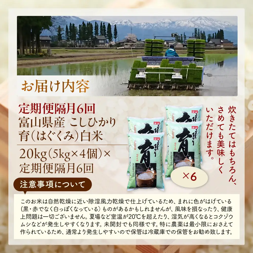 【令和7年産】定期便・隔月６回  富山県産こしひかり 育（はぐくみ）白米５kg×４袋《南砺の逸品》